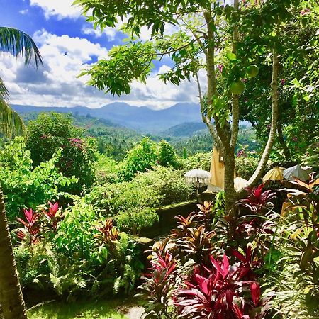 Gunung Paradis Retreat Munduk Buitenkant foto