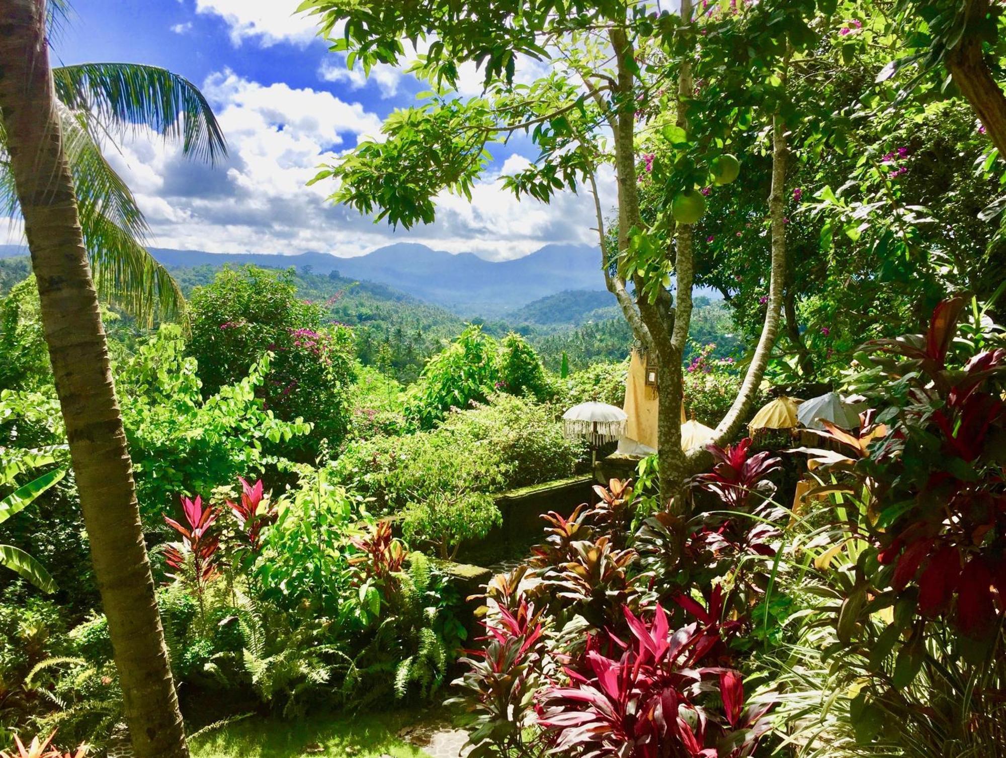 Gunung Paradis Retreat Villa Munduk Buitenkant foto