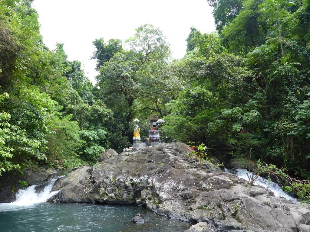 Gunung Paradis Retreat Villa Munduk Buitenkant foto